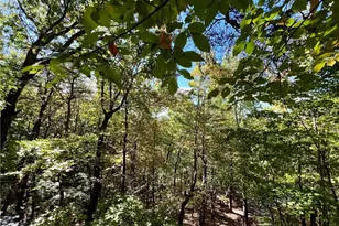 174 Sassafras Mountain Trail, Jasper, GA 30143 - Photo 20