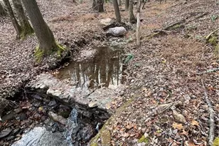 88 Brown Mountain Pl, Suches, GA 30572 - Photo 30