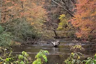 88 Brown Mountain Pl, Suches, GA 30572 - Photo 32