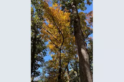 756 Roper Road, Canton, GA 30115 - Photo 20