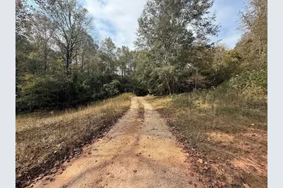 143 Lois Lane, Homer, GA 30547 - Photo 4