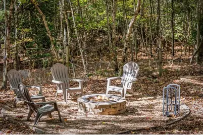 196 Ethan Wilson Way, Morganton, GA 30560 - Photo 64