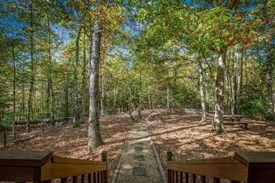 196 Ethan Wilson Way, Morganton, GA 30560 - Photo 56