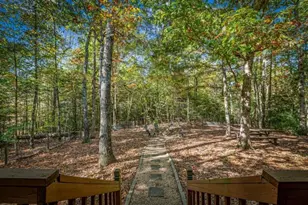 196 Ethan Wilson Way, Morganton, GA 30560 - Photo 56