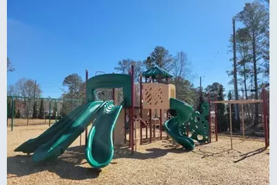 307 Friendship Oak Way, Hampton, GA 30228 - Photo 32