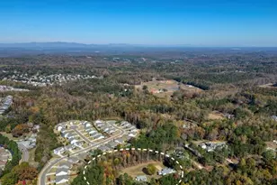 329 Owens Store Rd, Canton, GA 30115 - Photo 76