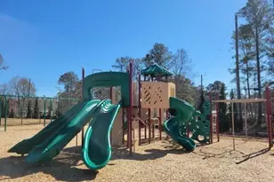 151 Oakchase Pk Ln, Hampton, GA 30228 - Photo 32