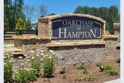 147 Oakchase Park Lane, Hampton, GA 30228 - Photo 38