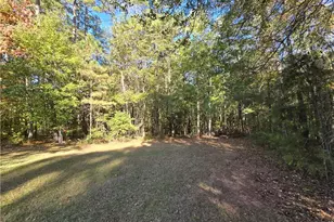 552 Rich Davis Rd, Hiram, GA 30141 - Photo 46