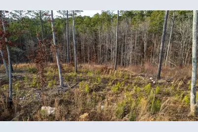 Lt 177 Shallow Water Way, Talking Rock, GA 30175 - Photo 8