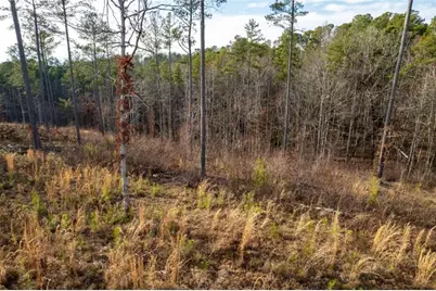 Lt 177 Shallow Water Way, Talking Rock, GA 30175 - Photo 22
