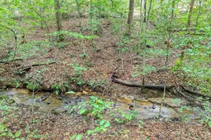 2479 Plum Orchard Rd, Clayton, GA 30525 - Photo 42