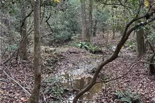 2640 Banning Rd, Carrollton, GA 30116 - Photo 38