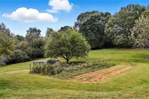 294 Old Ball Ground Rd, Canton, GA 30115 - Photo 4