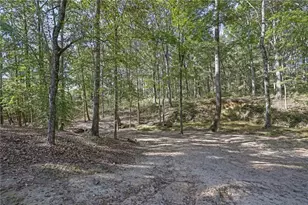 2325 Mountain Rd, Alpharetta, GA 30004 - Photo 56