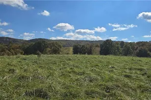 1350 Stivers Rd, Jasper, GA 30143 - Photo 10