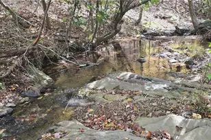 1350 Stivers Rd, Jasper, GA 30143 - Photo 44