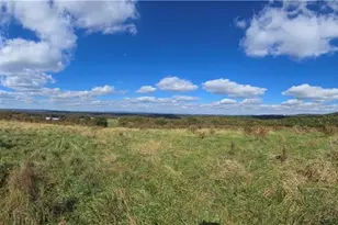 1350 Stivers Rd, Jasper, GA 30143 - Photo 16