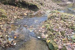 1350 Stivers Rd, Jasper, GA 30143 - Photo 42