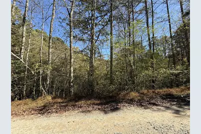 00 Heritage Way, Ellijay, GA 30540 - Photo 1