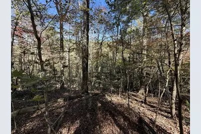 00 Heritage Way, Ellijay, GA 30540 - Photo 24