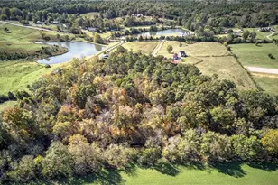 647 Knightbottom Road SE, Fairmount, GA 30139 - Photo 58