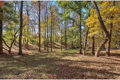 647 Knightbottom Road SE, Fairmount, GA 30139 - Photo 48