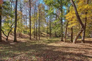 647 Knightbottom Road SE, Fairmount, GA 30139 - Photo 48