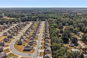 120 Cabin Way, Hampton, GA 30228 - Photo 44