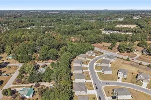 120 Cabin Way, Hampton, GA 30228 - Photo 48