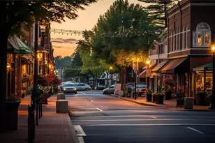 6039 Hickory Crk Ct, Braselton, GA 30517 - Photo 50