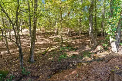 8870 Glen Ferry Drive, Johns Creek, GA 30022 - Photo 64