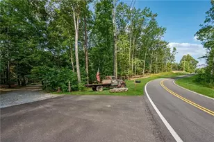 315 Rhine Rd SE, White, GA 30184 - Photo 46