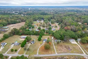 3519 Cook Rd, Loganville, GA 30052 - Photo 42