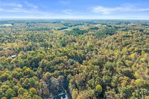 7269 Sloan Stephens Rd, Alto, GA 30510 - Photo 62