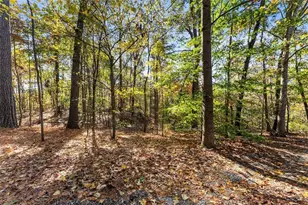 7269 Sloan Stephens Rd, Alto, GA 30510 - Photo 50