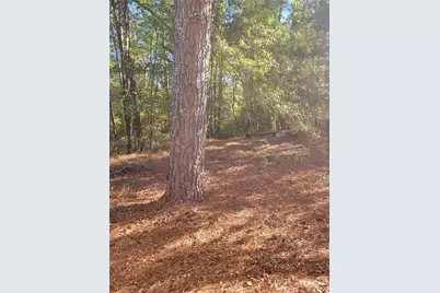 3063 Georgia Highway 120 Highway, Tallapoosa, GA 30176 - Photo 12