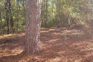 3063 Georgia Hwy 120 Hwy, Tallapoosa, GA 30176 - Photo 12