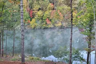 382 Pocaset Dr, Ellijay, GA 30540 - Photo 66