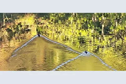 382 Pocaset Drive, Ellijay, GA 30540 - Photo 64