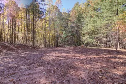 00 Hwy 136 W, Dawsonville, GA 30534 - Photo 12