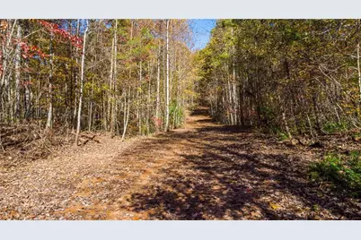 00 Hwy 136 W, Dawsonville, GA 30534 - Photo 8