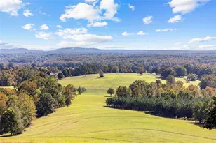 5225 Chalybeate Springs Rd, Woodland, GA 31836 - Photo 36