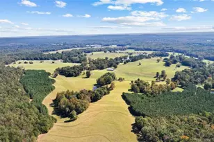 5225 Chalybeate Springs Rd, Woodland, GA 31836 - Photo 30