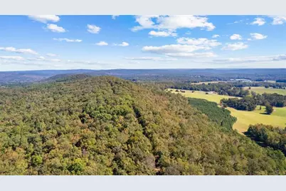 5225 Chalybeate Springs Road, Woodland, GA 31836 - Photo 34