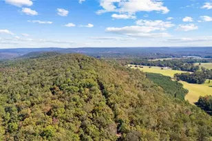 5225 Chalybeate Springs Rd, Woodland, GA 31836 - Photo 34