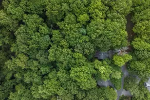 1083 Mountain Oak Rd, Ellijay, GA 30536 - Photo 40