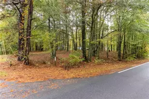 3058 Broadnax Mill Rd, Loganville, GA 30052 - Photo 38