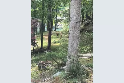 3473 McKenzie Drive, Gainesville, GA 30506 - Photo 20