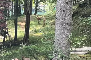 3473 McKenzie Dr, Gainesville, GA 30506 - Photo 20